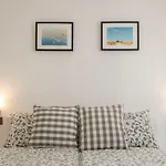 Alek * Novigrad (Istria)